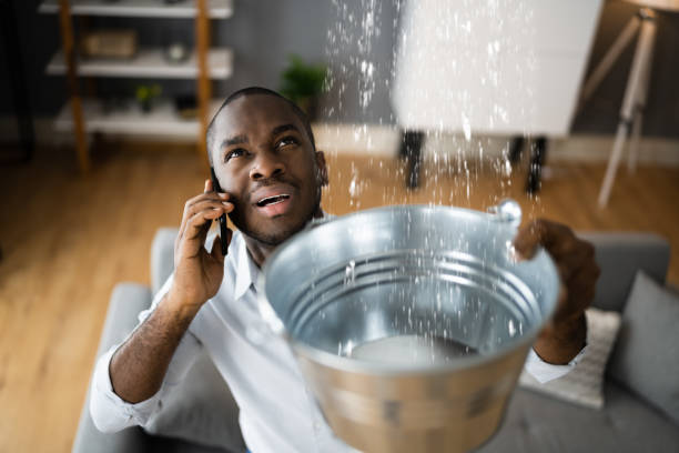 Best Water damage cleanup near me  in Clay, CA