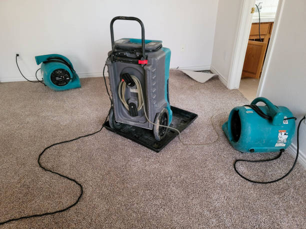 Best Water damage restoration near me  in Clay, CA