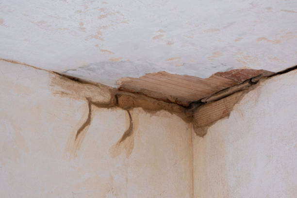 Best Carpet water damage restoration  in Clay, CA