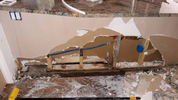 Best Water damage restoration near me  in Clay, CA