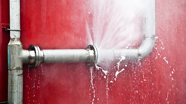 Best Flood restoration services  in Clay, CA